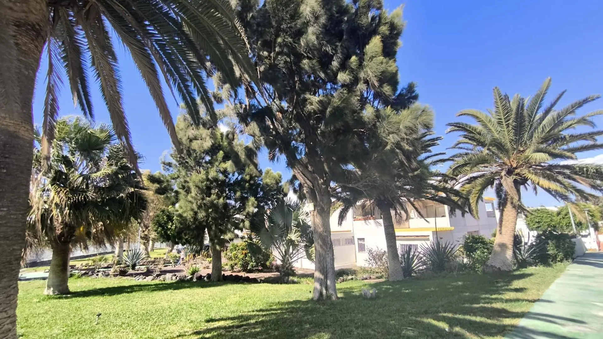 Rentenerife Canary Oasis Agarimo Costa Del Silencio 0*,  Spain